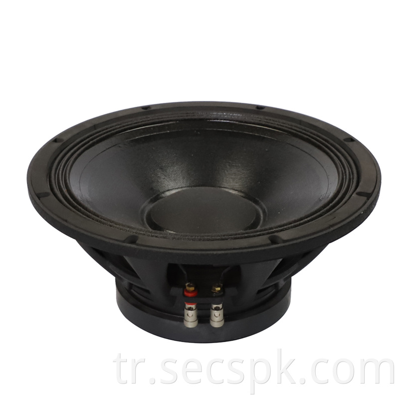 Concert Speaker